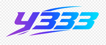 y333